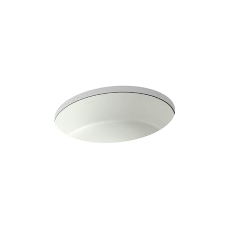 Kohler Verticyl Oval Undermount Bathroom Sink 2881-NY
